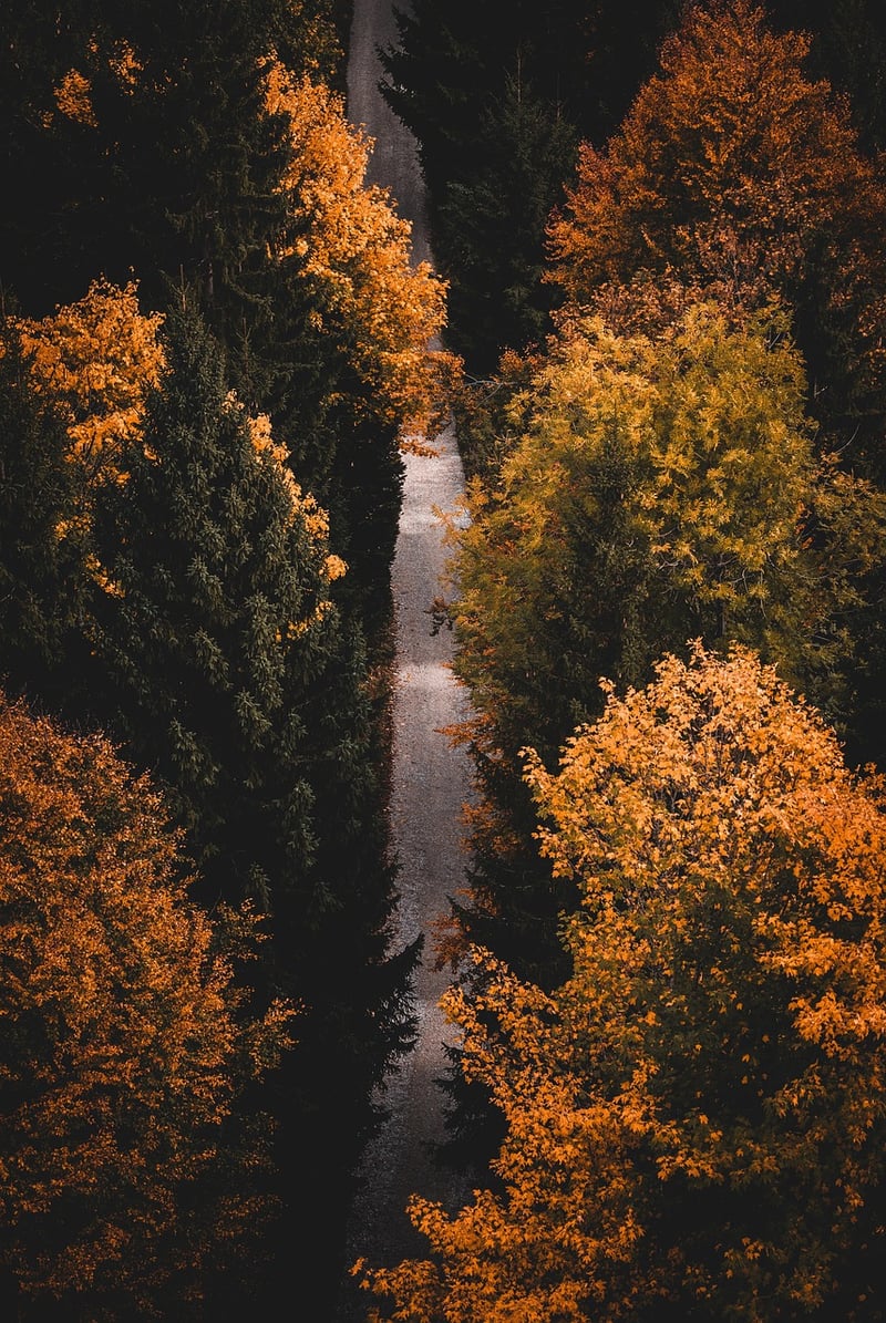 Mindfulness Meditation